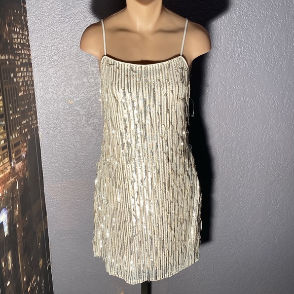 ALTAR’D STATE - dress: silver mesh w allover sequin fringe, lined w zipper - XL - Picture 2 of 16